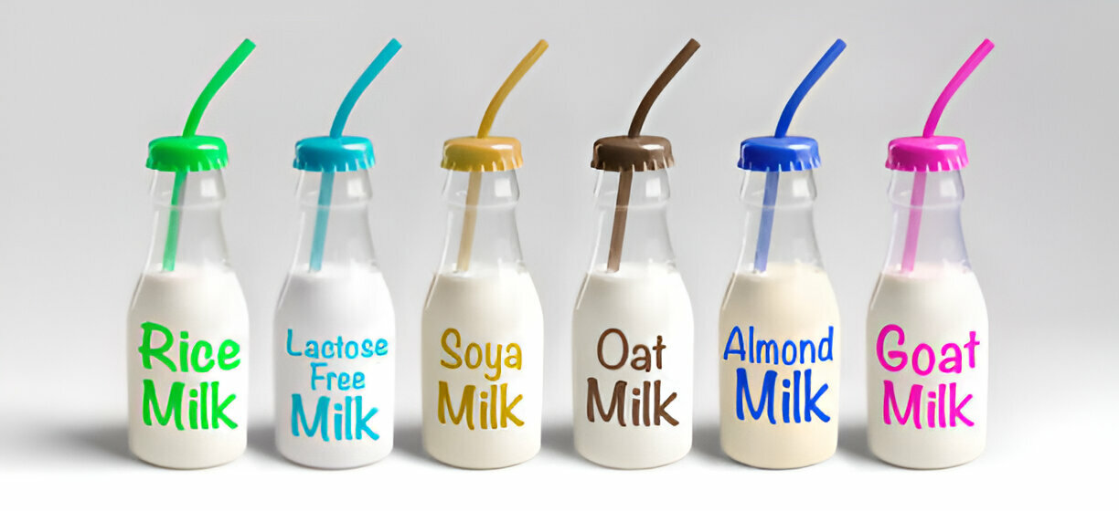 Healthy milk alternative milk drinks